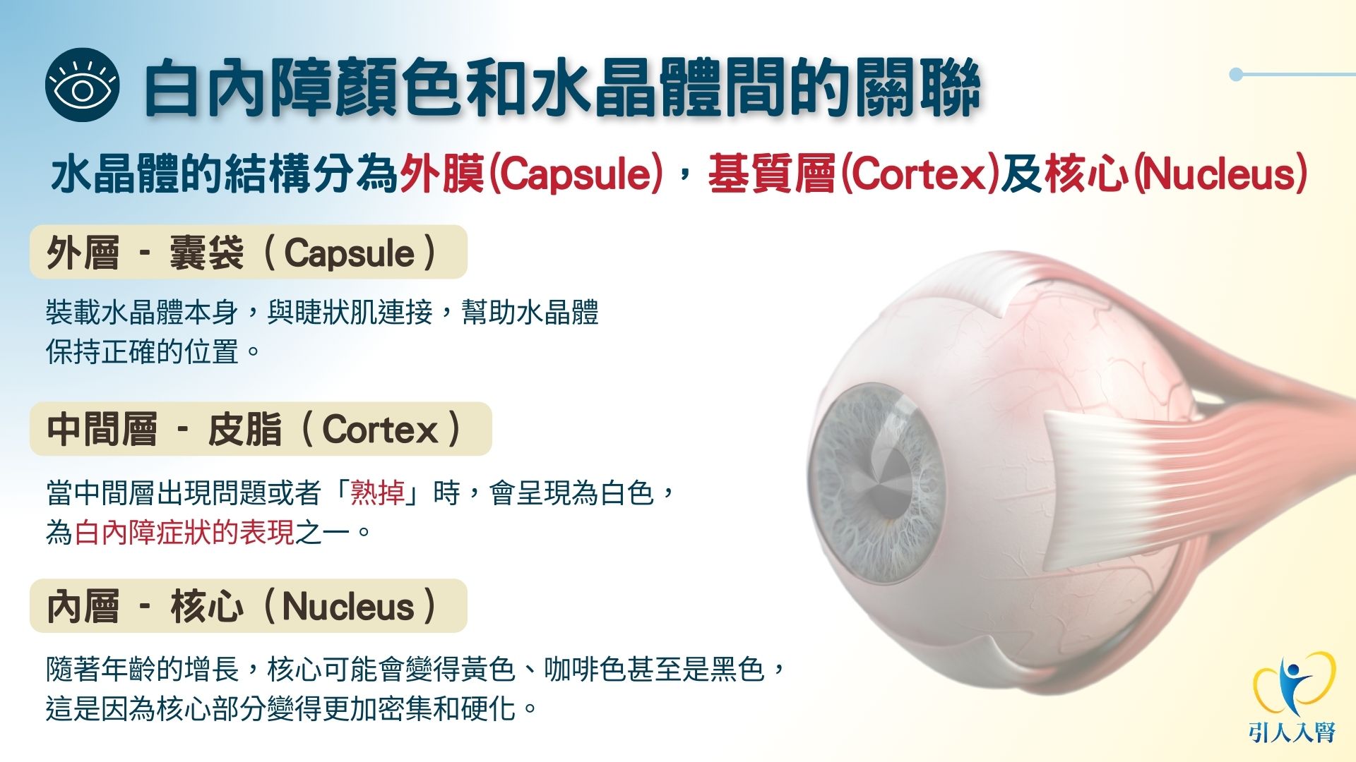 白內障顏色和水晶體之間的關聯